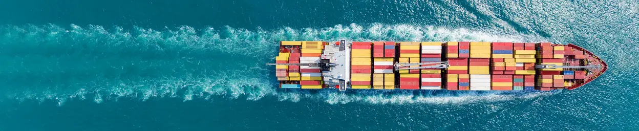 Marine-Monitore